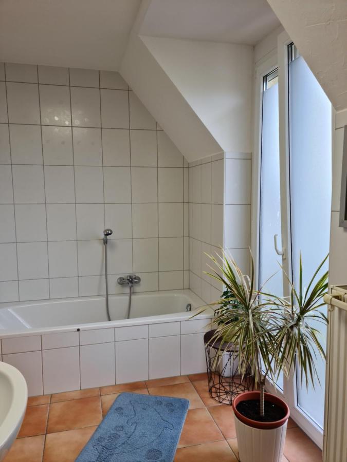 Lichtdurchflutetes Zimmer - Mainwiesen Waldbuttelbrunn Exterior photo
